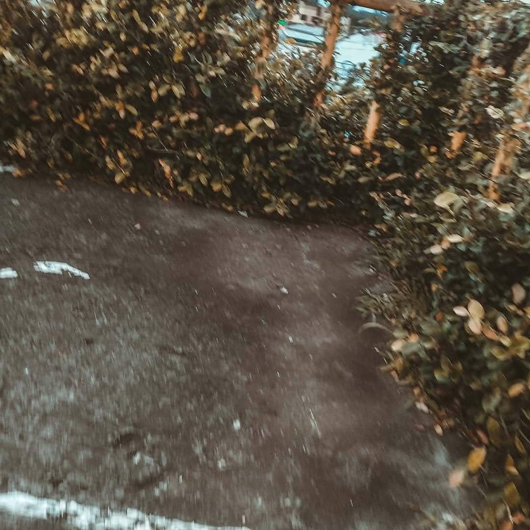 Inoiz gertatu zaidan gauzarik onena zara.