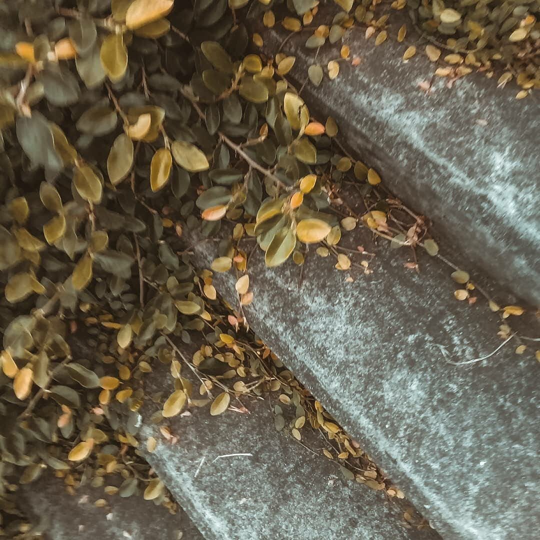 Inoiz gertatu zaidan gauzarik onena zara.