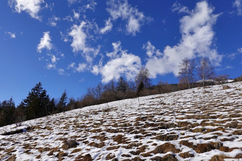 Beispiel-Bild